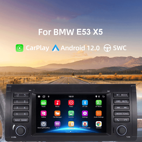 Car Stereo Radio for BMW 5 Series E39 E53 X5 M5 DAB+ RDS GPS Nav WIFI Android UK - Picture 4 of 14