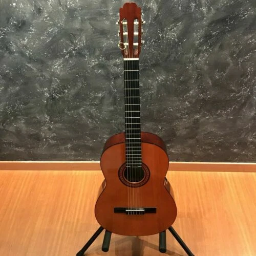 Suzuki Acoustic Guitars