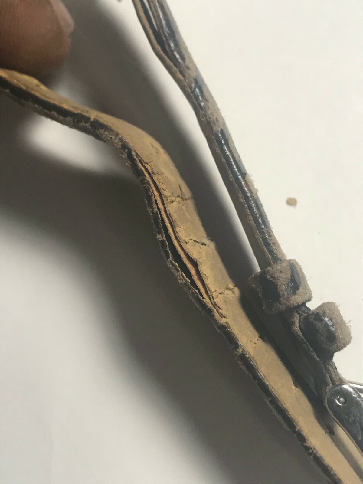 Picture 6 of 6
