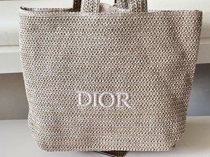 Dior Novelty Bag | eBay