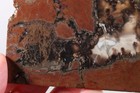 Priday Plume Agate Thunderegg lapidary 3.6 oz slab rough — photo 3