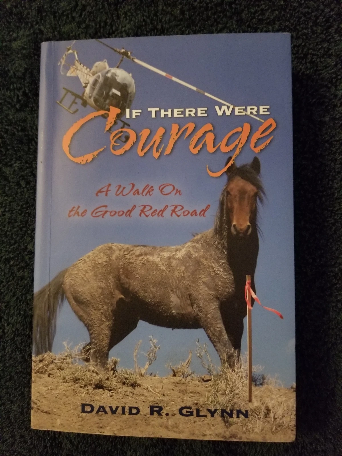 Photo of book cover: If There Were Courage