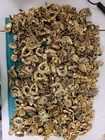 Huge Lot Vintage Gold Tone Costume Jewelry Earrings Pieces Craft 10lb+ Supply