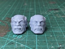 Conquest Invincible 2x Custom Heads For Action Figures 