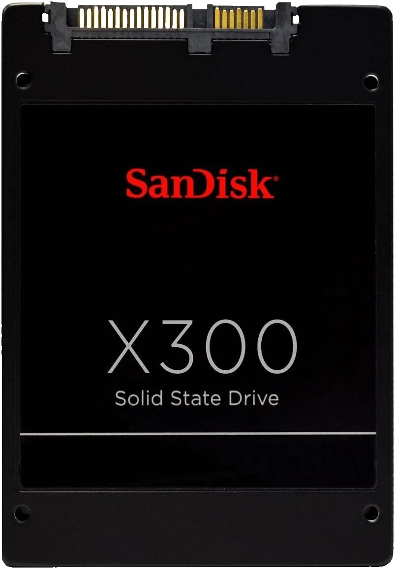 SanDisk 256 GB Solid State Drives