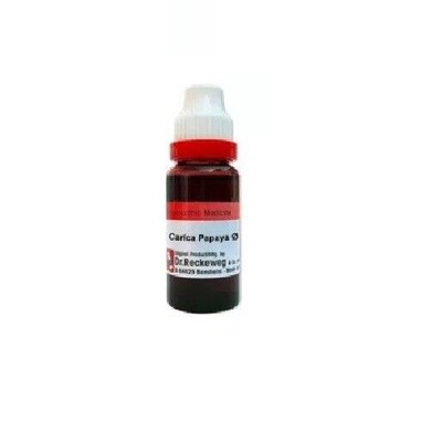 Dr. Reckeweg Carica Papaya Urtinktur Q 20ML aus Indien mit kostenlosem Versand