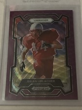 Brian Urlacher 2024 Panini Prizm Purple Prizm Card (#18)