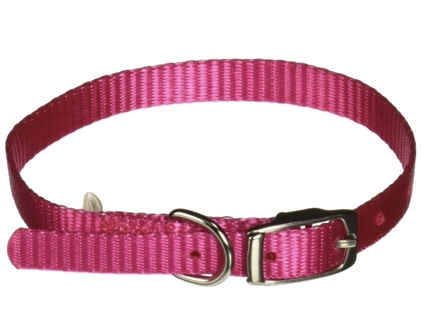 Aspen Pet Products Collar Estándar NYL, Rojo, 10" x 3/8" Nylon de Alta Calidad Mejor Foto 2 de 2