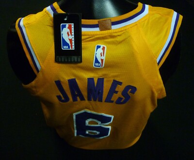 LA Lakers NBA Basketball Jersey Lebron James Nike Wish Size