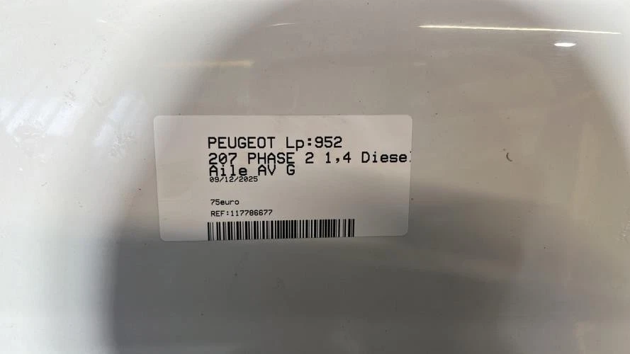 Aile avant gauche PEUGEOT 207 PHASE 2 DV4TD_8HZ - Photo 2/2