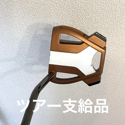 TaylorMade SPIDER X TOUR SX-32 Putter 34in KBS CT Tour shaft | eBay
