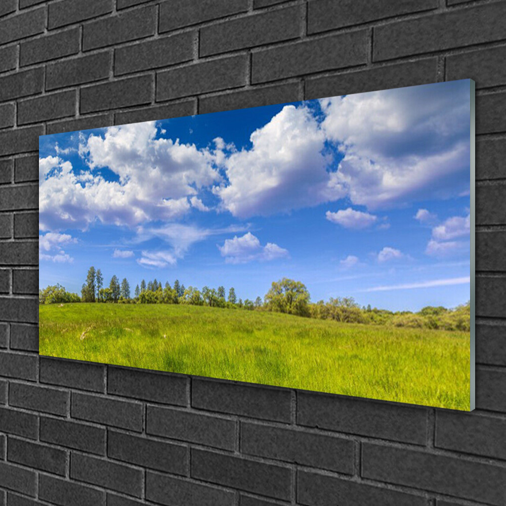 Tableau verre 100x50 vert Prairie Herbe Tulup impression murale
