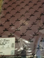 Canson Mi-teintes Pastel Paper Full Sheets X 25 (19.5"x25.5") 503 Burgundy 160G