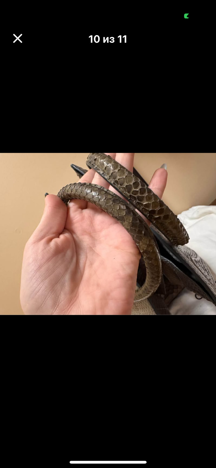 celine python - image 2