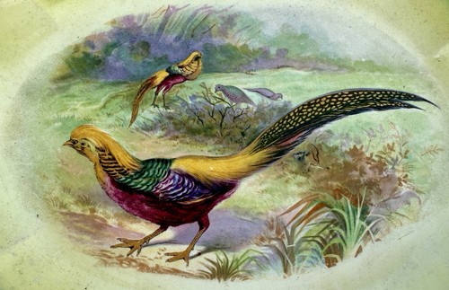 Antique Imperial Chinese Golden Pheasant Oval Serving Plate Platter China 14 In. - Picture 2 of 14