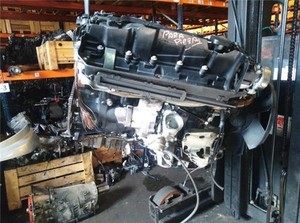 ZYLINDERKOPF BMW Serie 7 (E65/E66)(2001->) 3.0 730d M57N2 306 D2 2002 778120303