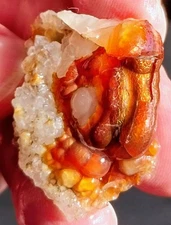 Vintage 1970s Deer Creek Arizona Fire Agate Rough 2.2 Ounces