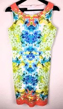 Nine West Watercolor Floral Dress Women's 6 Sleeveless Zip Sheath Arts Boho 2400