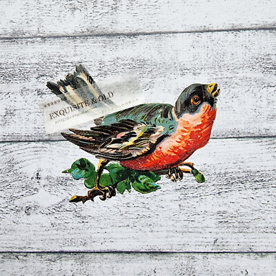 um 1900 Vogel Natur Zweig Ast Glanzbild Prägedruck Luxuspapier Ephemera Deko alt