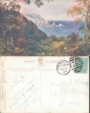 Coastline view Torquay Davidson Bros 1904 postmark Landscapes Seascape Tourism