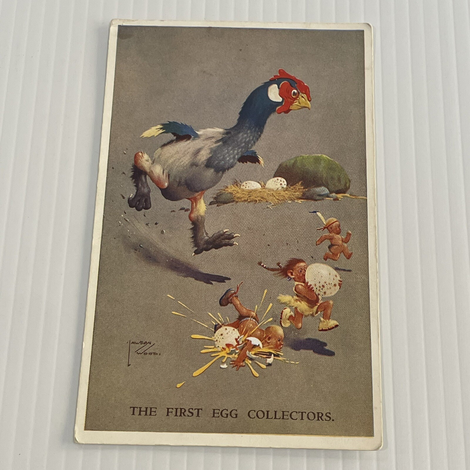 Vintage Humorous Postcard The First Egg Collection Valentine’s 3815