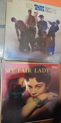 Menge 14 LPs Schallplatten Vinyl Gigi, The Animals, South Pacific, Tommy Sands usw. - Bild 5 von 8