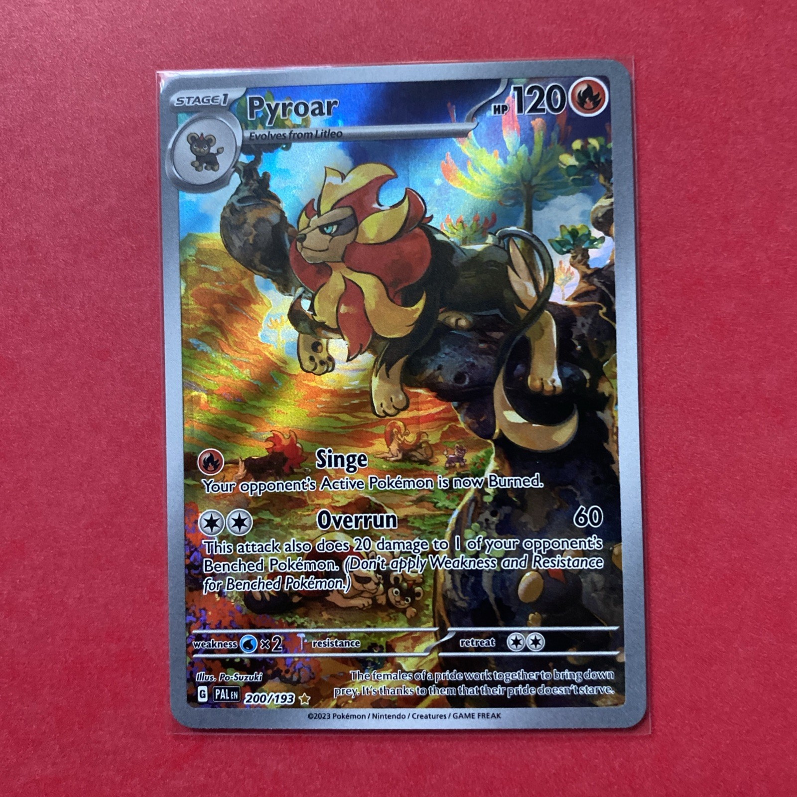 Pyroar 200/193 SV02: Paldea Evolved Illustration Rare Pokemon TCG NM