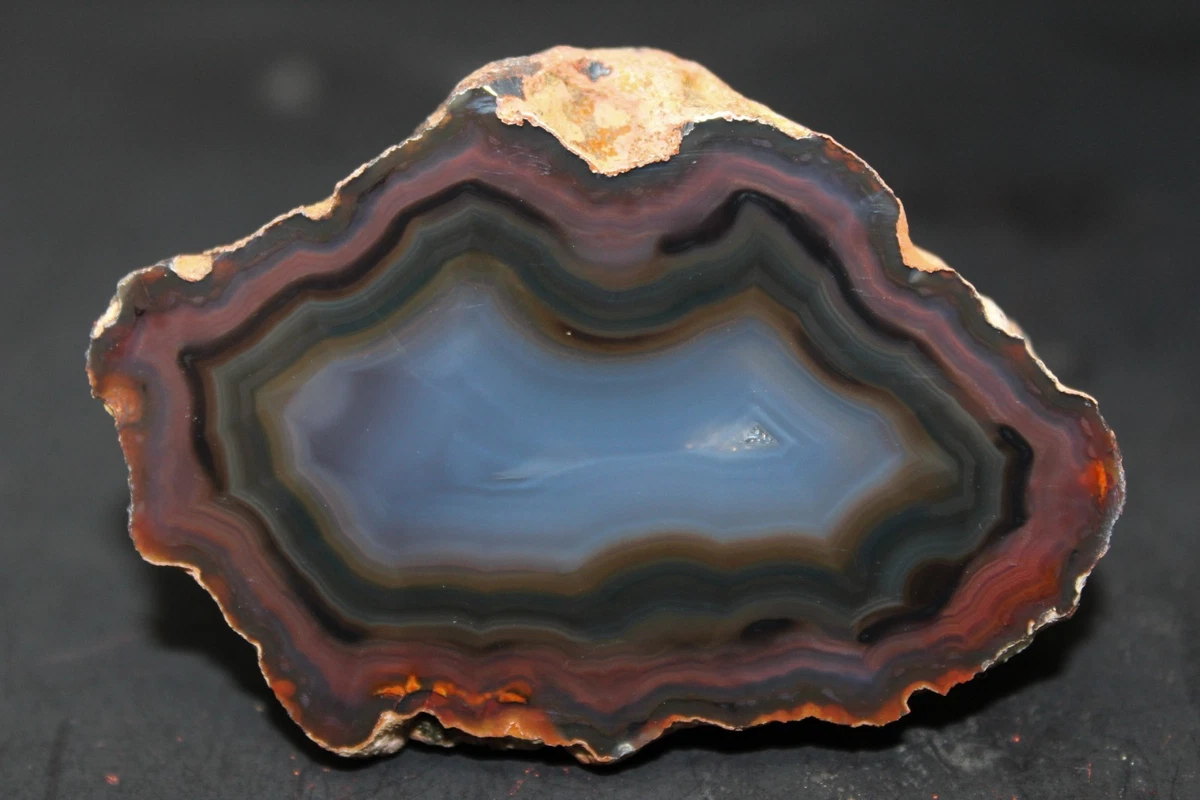 Condor Agate for sale | eBay