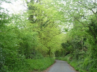 Foto A3 The London LOOP follow Farthing Street Keston This is the de c2014