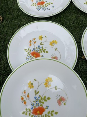 Fine Opaline 70/80 Teller Corelle By Corning USA