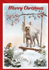Chinese Crested Dog A6 (4" x 6") Christmas Card (Blank inside) by Starprint