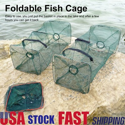1~4x Fishing Bait Trap Net Fish Cast Cage Crab Minnow Crawdad Shrimp Foldable