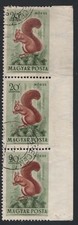 Hungary 1953 20f squirrel sg1271 ERROR imperf between stamp & right margin fu