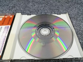 SEGA Segagaga DC Software