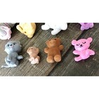 Foto 3 di 5