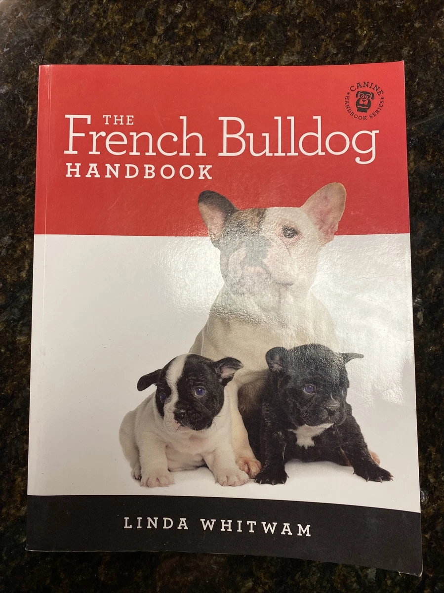 The french bulldog store handbook linda whitwam