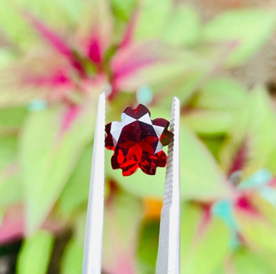 2.35 Ct. Natural Mozambique Garnet Cherry Blossom Flower Cut Loose Gemstones.