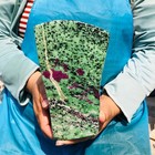 12.14LB Natural Red & green treasure Ruby Crystal Mineral Specimen Heals 1852