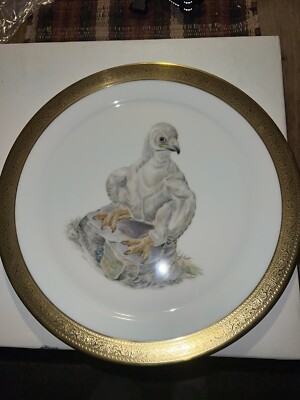 Young American Bald Eagle 13  Plate by Edward Marshall Boehm 1973 Limited Issue