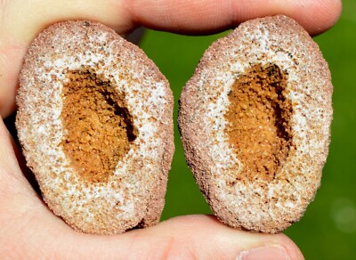 Geode Sandstein & Quarz 66 Gramm - Remiremont, Epinal, Vogesen, Grand Est, Frankreich