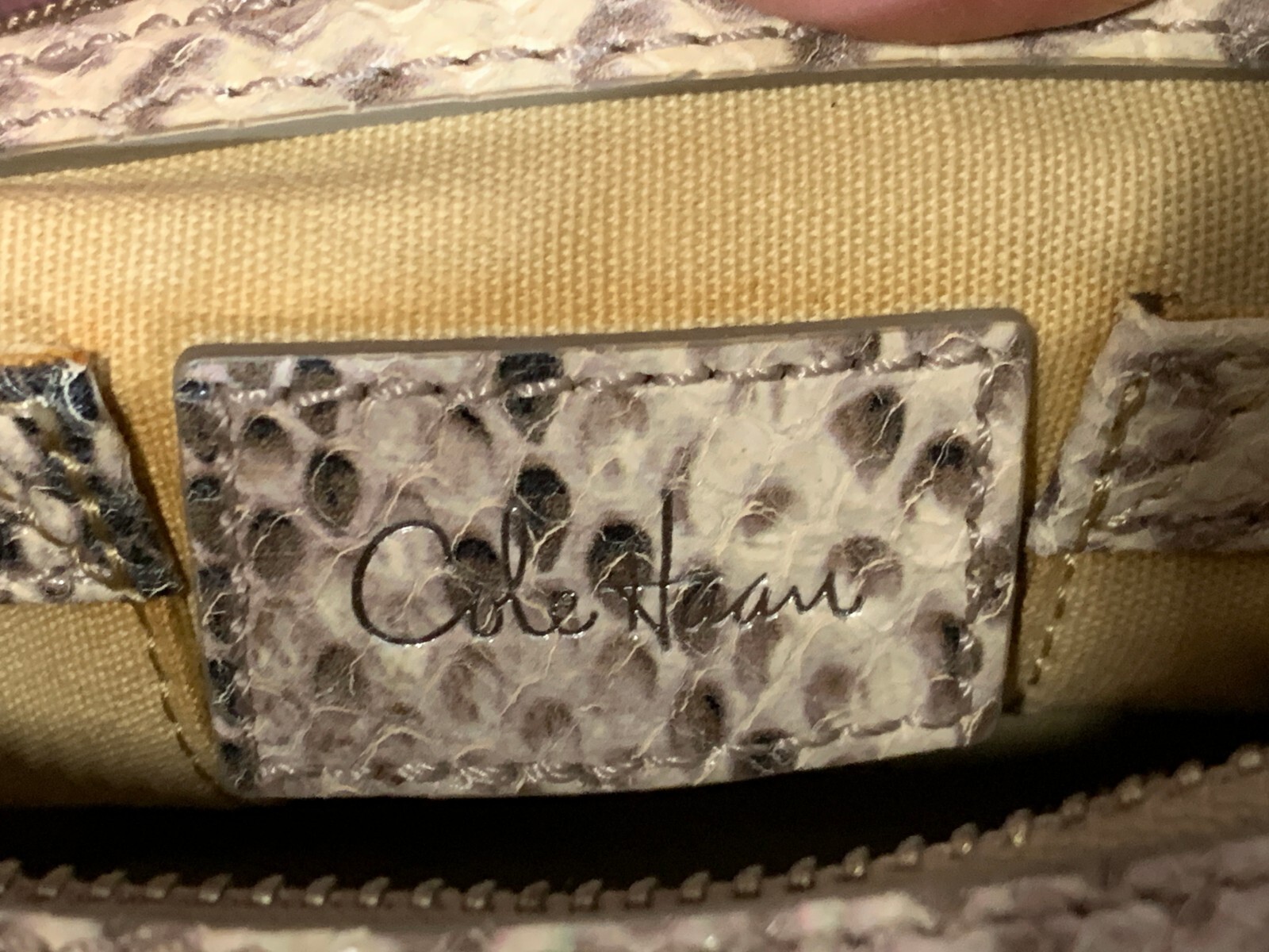 cole haan snakeskin