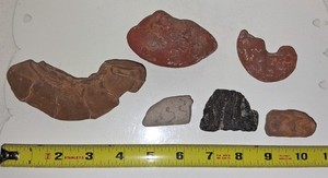 Texas Fossil Red Zone Ammonite Specimens Lot of 6 NICE SUTURES Cretaceous Age