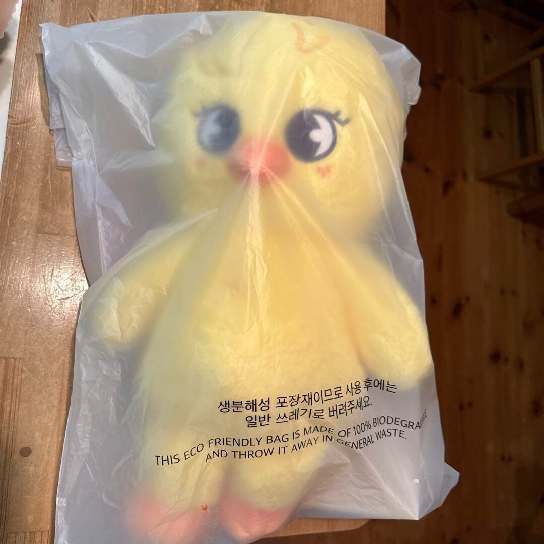 Stray Kids SKZOO PLUSH Teddy Bear Ver. Pogarri New Plush