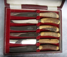 6 Cooper Bros & Sons Stainless Stag/Antler Knives in Box Sheffield England