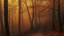 Landscape nature forest mist fall leaves path trees Custom Gaming Mat Desk