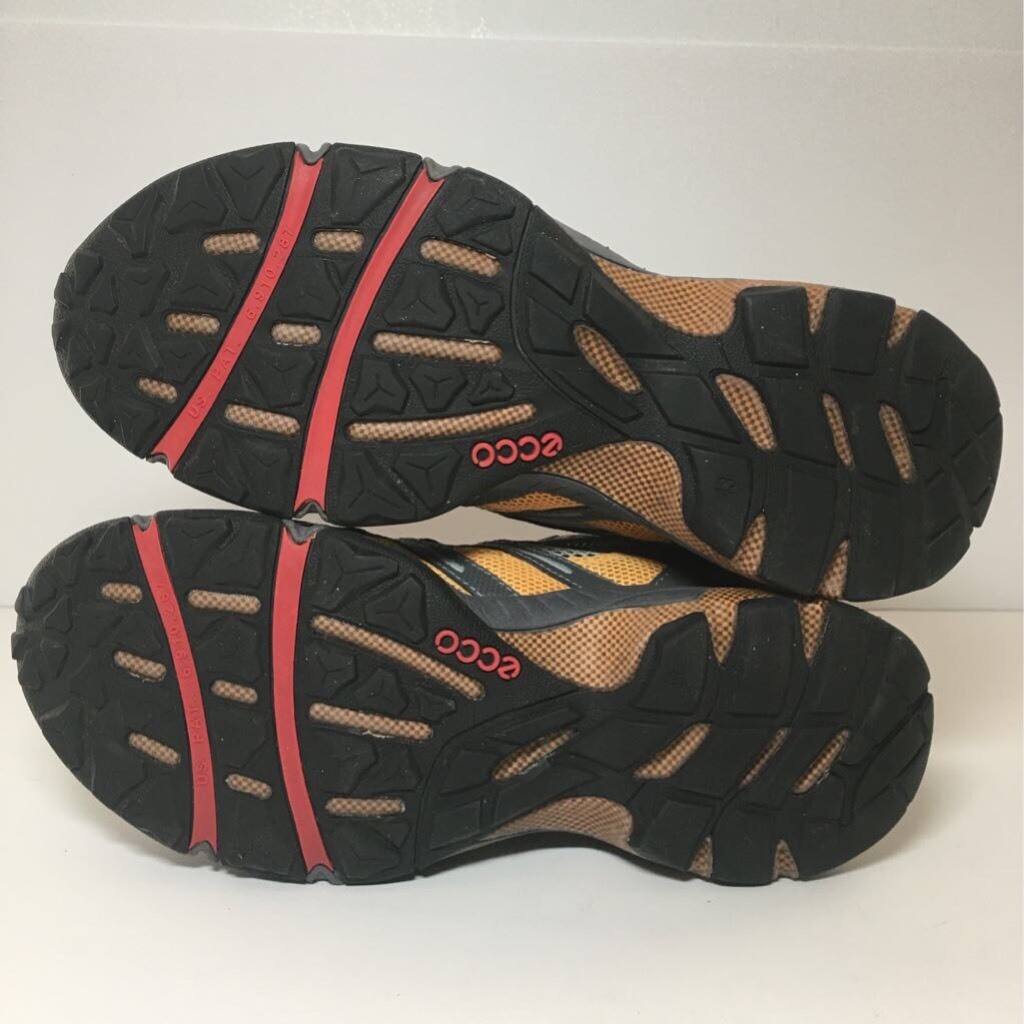 ecco biom evo trainer pro