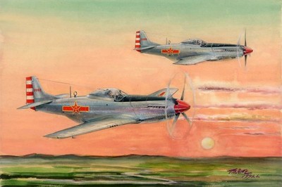 PLAAF P-51D/K Mustang Fighter - Hobby Boss - 85807