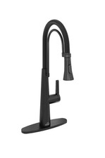 CASAINC Matte Black Spring Pull-Down Kitchen Faucet CA-D0462-MB