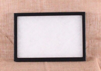 Collector's Display Case: 8 x 12 x 3/4'' (Riker Type) - Package of 1 