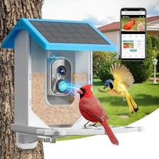 Smart AI Recognition Bird Feeder HD Streaming Video Solar WiFi